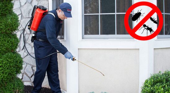 Soma Hamam Böceği İlaçlama böcek ilaçlama ve haşere kontrolü — ilaclama-tr.com
